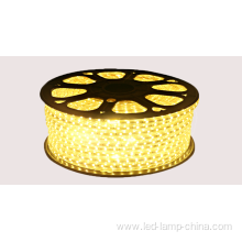 AC110v Micro Color Waterproof Flexible Led Strip Light